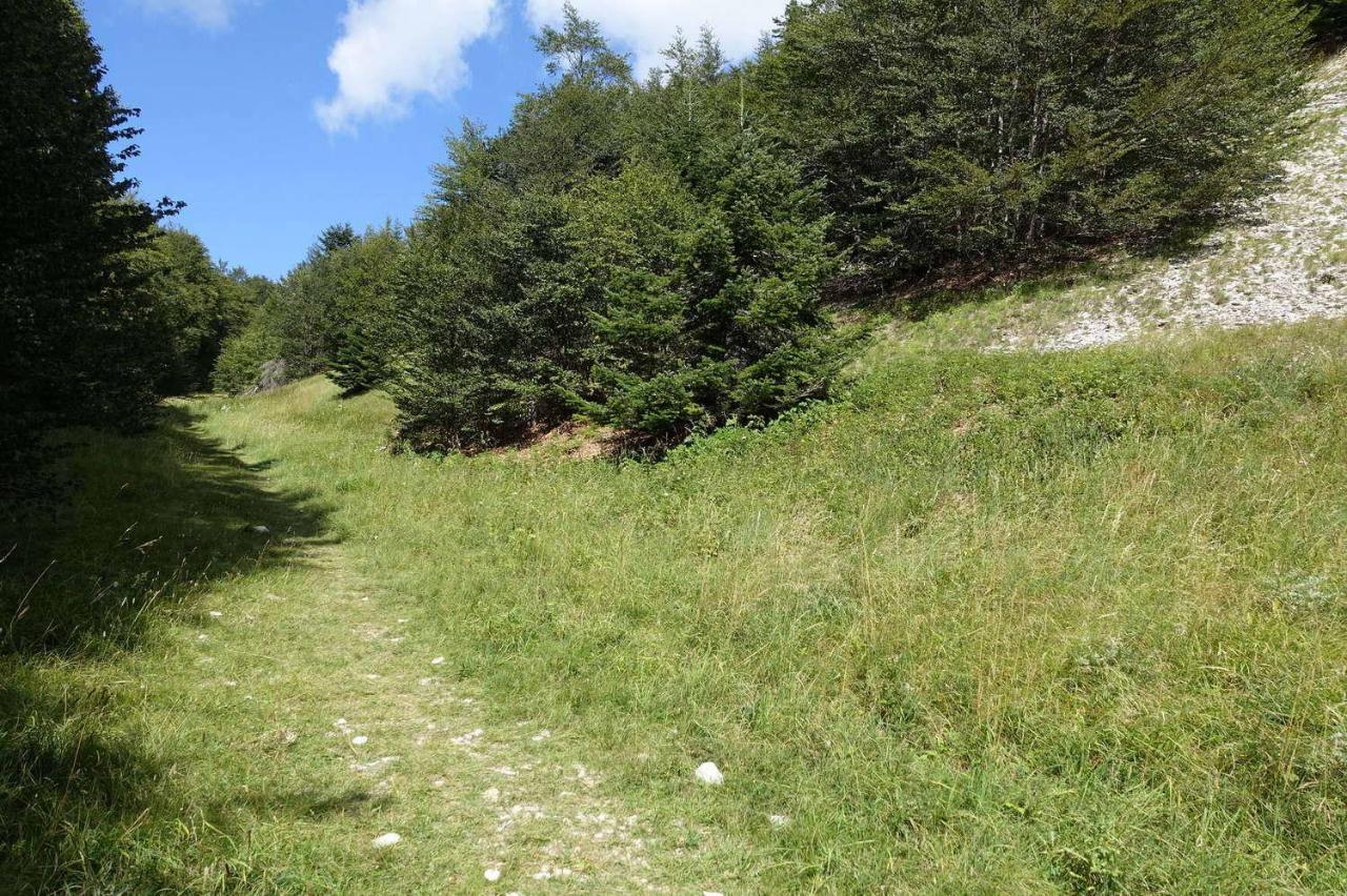 Petit Studio Atypique Et Cosy En Provence Saint-Étienne-les-Orgues Kültér fotó